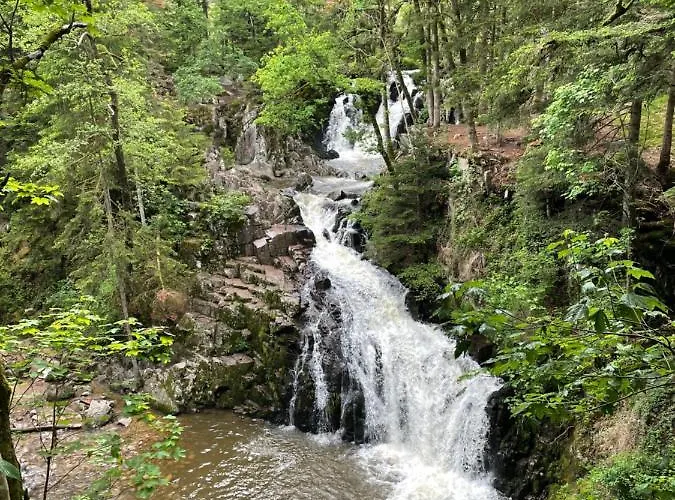 Apartmán F2 Proche La Bresse *